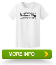 For All I Care About is My Guinea Pig Maybe 2 People Ladies TShirt